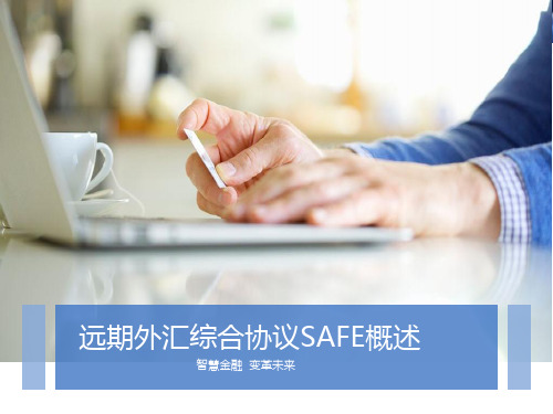 远期外汇综合协议SAFE概述