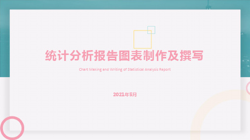 统计分析报告图表制作及撰写