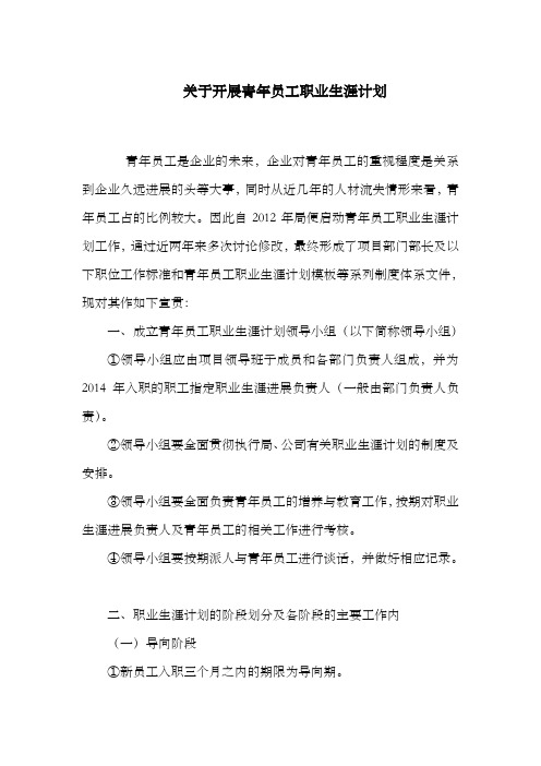 青年员工职业生涯计划
