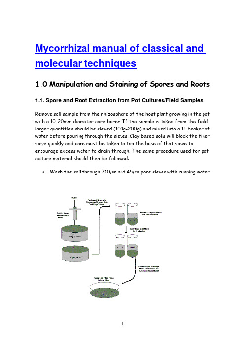 Mycorrhizal manual of classical and molecular techniques