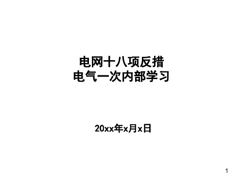 电网十八项反措电气一次培训