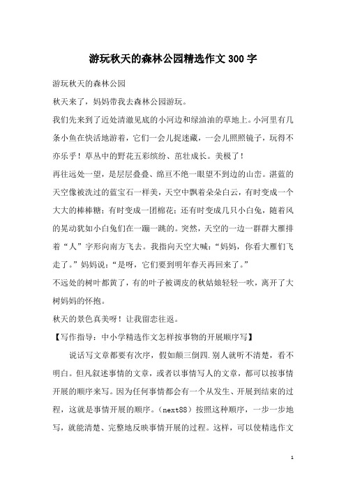 游玩秋天的森林公园精选作文300字