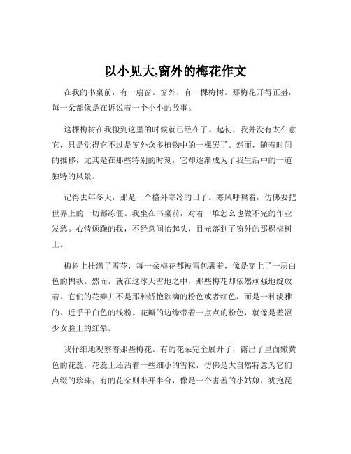 以小见大,窗外的梅花作文