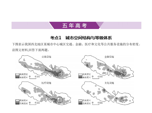 2021年山东高考地理复习练习课件：专题八 城市与城市化