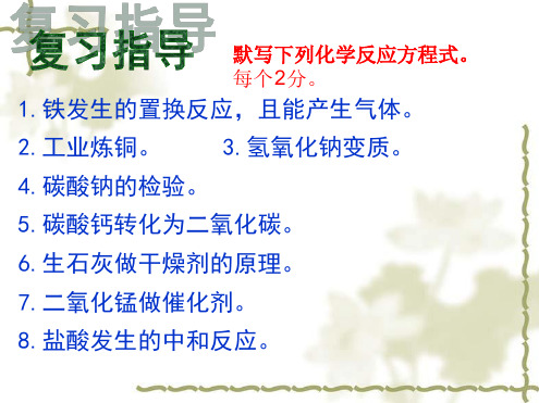 中考化学专题复习物质成分的实验探究共16张