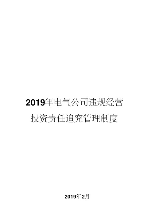 2019年电气公司违规经营投资责任追究管理制度