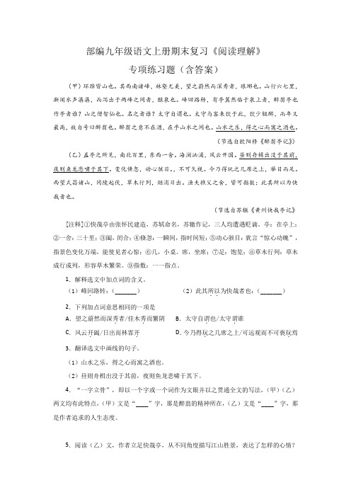 部编九年级语文上册期末复习《阅读理解》专项练习题(含答案)