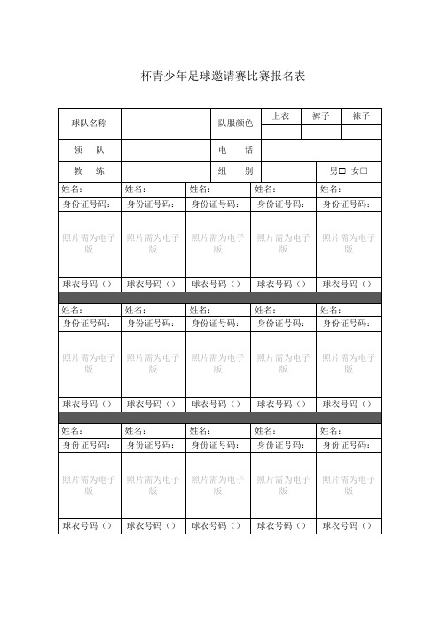 杯比赛报名表