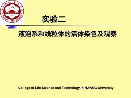 实验二液泡系和线粒体的活体染色及观察解读