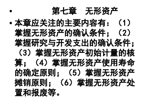 《无形资产》PPT课件