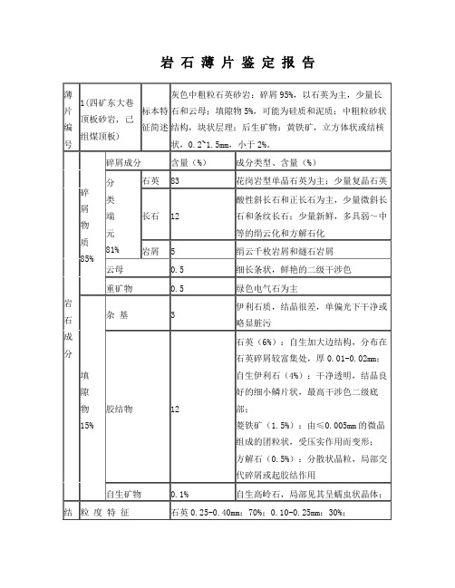 岩石薄片鉴定报告样式