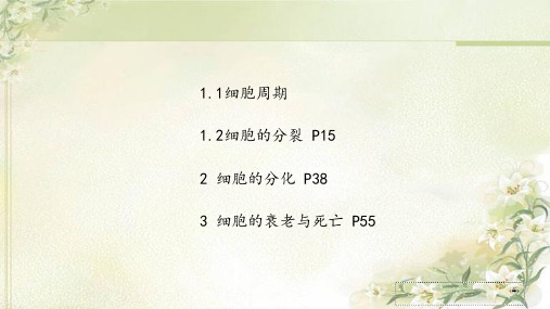 新教材 北师大版高中生物必修1 第五章细胞的生命历程 精品教学课件