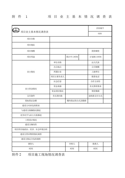 项目管理手册公司表格