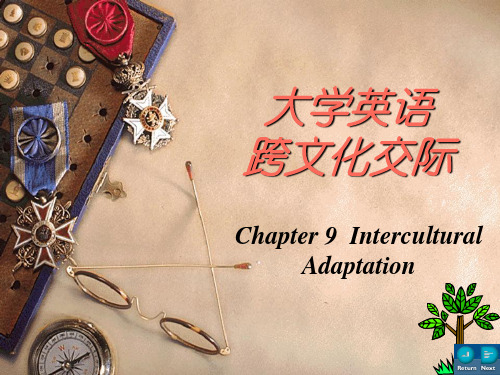 大学英语跨文化交际chapter9-Intercultural-Adaptation