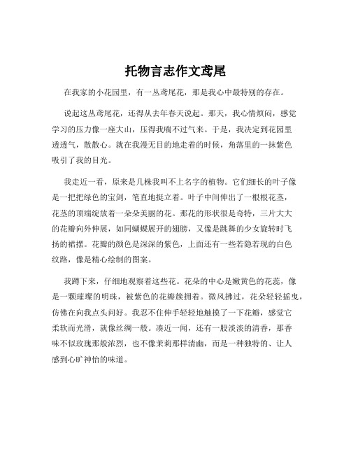 托物言志作文鸢尾