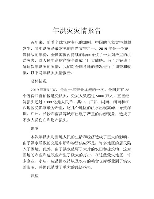 年洪灾灾情报告