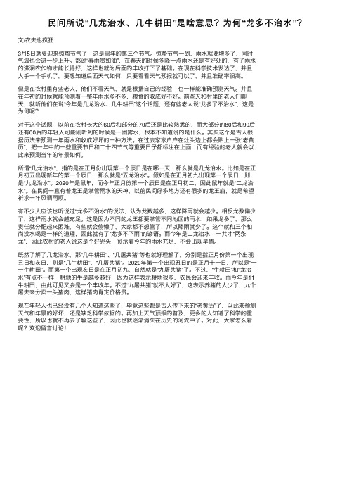 民间所说“几龙治水、几牛耕田”是啥意思？为何“龙多不治水”？