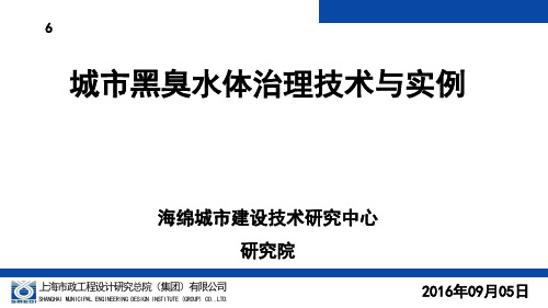 城市黑臭水体治理技术与实例  ppt课件