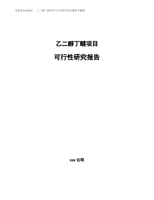 乙二醇丁醚项目可行性研究报告模板可编辑