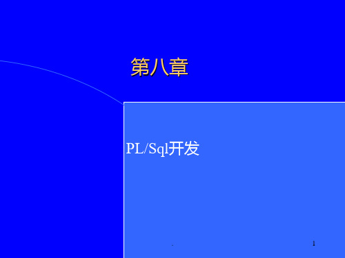 PLSQL开发(精)PPT课件