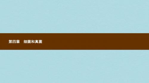 八年级生物上册5.4.1细菌和真菌的分布课件新版新人教版