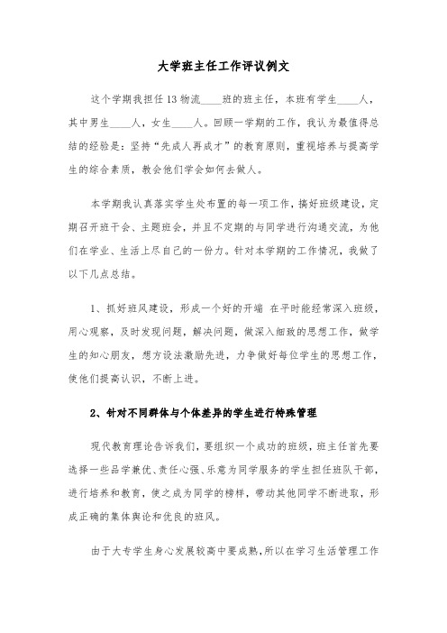 大学班主任工作评议例文（2篇）