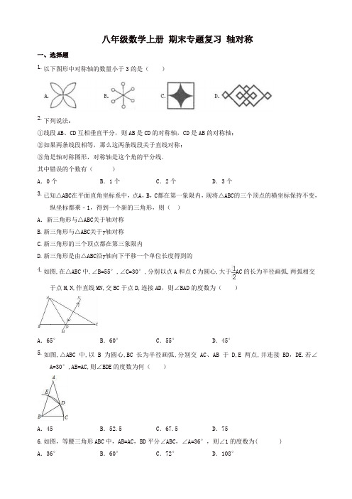 2019-2020年人教版八年级数学上册期末专题复习试卷：轴对称(有答案)