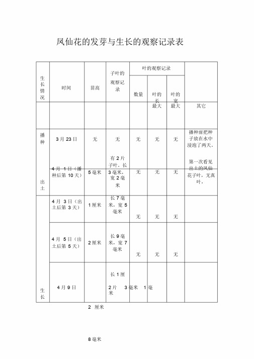 凤仙花的发芽与生长的观察记录表