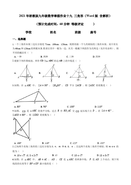 2021年浙教版九年级数学寒假作业19 三角形(含答案)