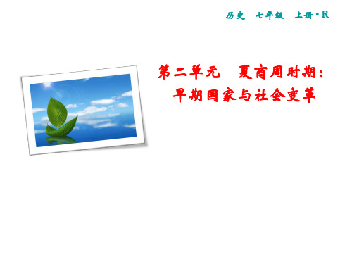 2019年秋七年级部编版历史上册课件:第2单元 第5课 青铜器与甲骨文(共21张PPT)