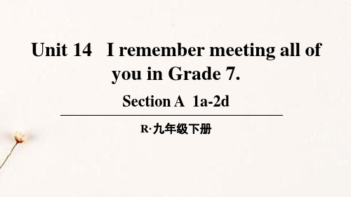 最新人教版初中九年级英语全一册集体备课第十四单元Unit 14 教学课件PPT