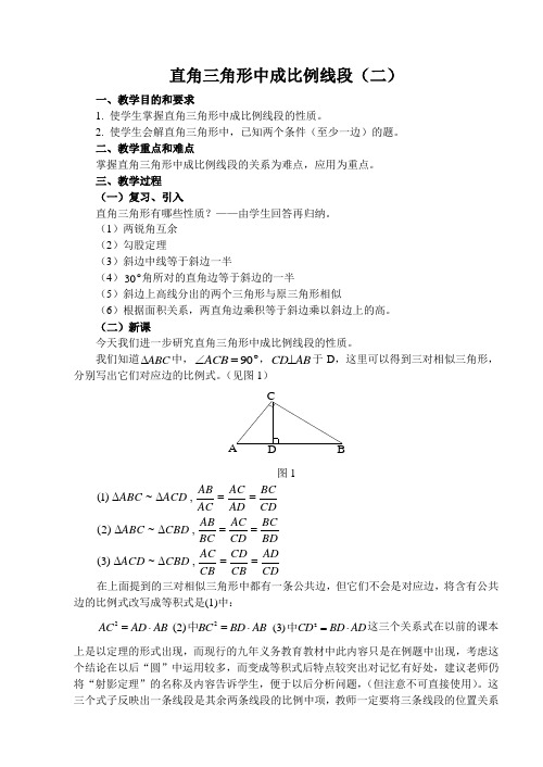 直角三角形中成比例线段(二)