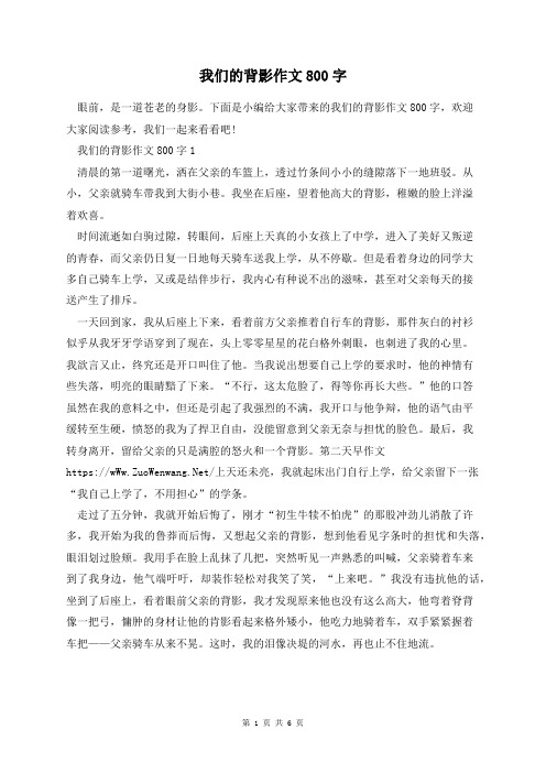 我们的背影作文800字