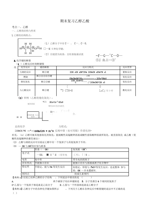 乙醇和乙酸(期末复习)