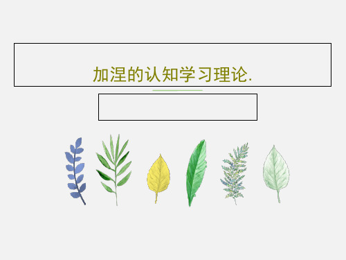 加涅的认知学习理论.PPT41页