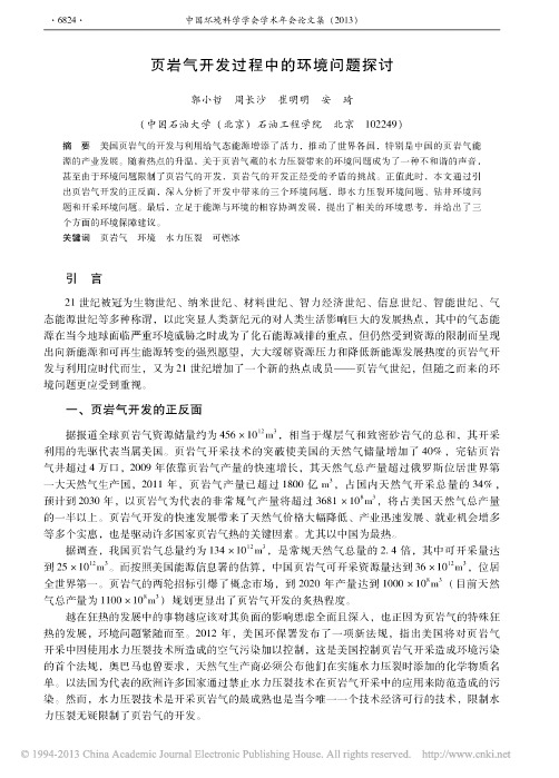 页岩气开发过程中的环境问题探讨