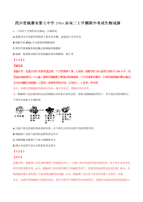 【全国百强校】四川省成都市第七中学2016届高三上学期期中考试生物试题解析(解析版)