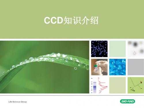 CCD