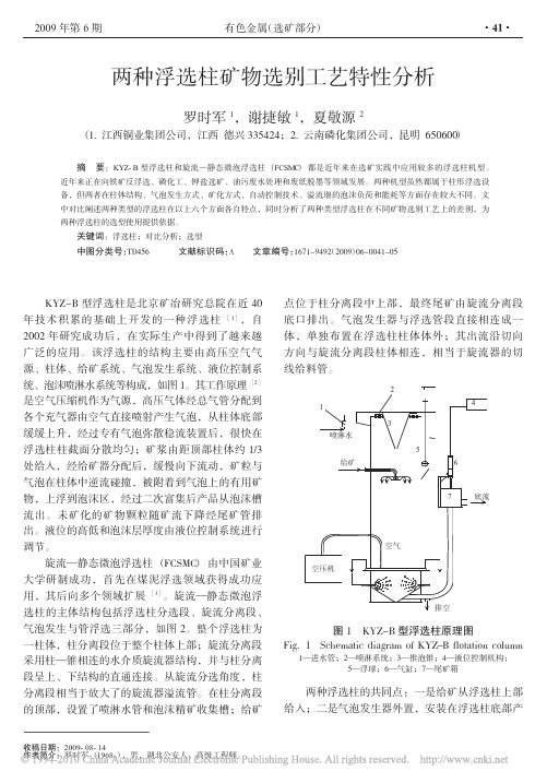 两种浮选柱矿物选别工艺特性分析