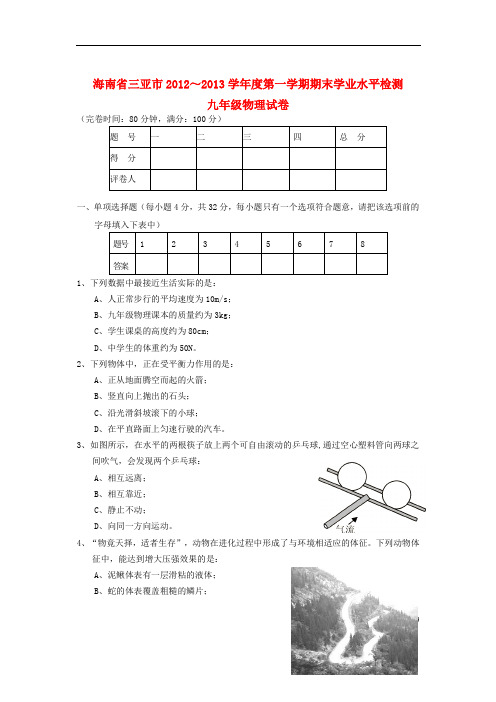 海南省三亚市2012-2013学年度九年级物理第一学期期末学业水平检测试卷 新人教版.doc