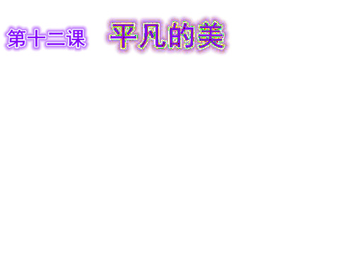 小学四年级美术下册 第12课《平凡的美》名师公开课省级获奖课件1 人教版