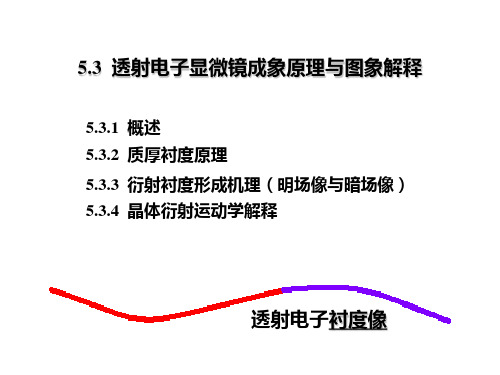 第五章5.3电镜图象解释概要