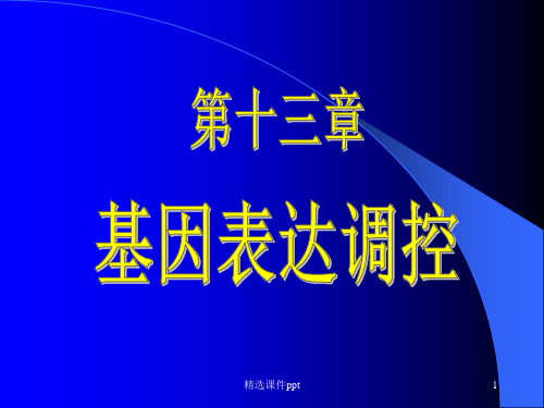 《表达调控》PPT课件