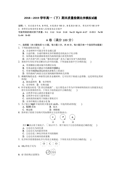 2018—2019学年高一(下)期末质量检测化学模拟试题1