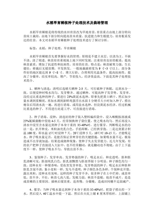 水稻旱育稀植种子处理技术及栽培管理