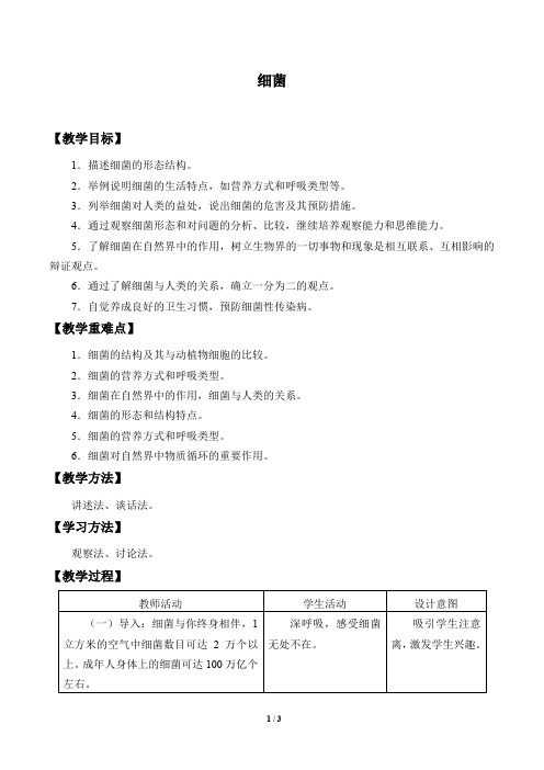 冀少版八年级生物上册：5.1.1 细菌  教案