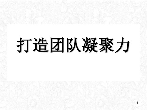 团队凝聚力打造培训教材(PPT31页)