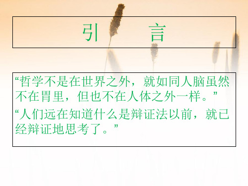 生活中的哲学ppt课件