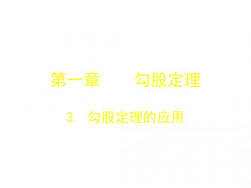 辽宁省灯塔市第二初级中学八年级数学上册1.3勾股定理的应用 演示文稿