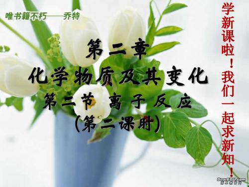 第二节 离子反应3